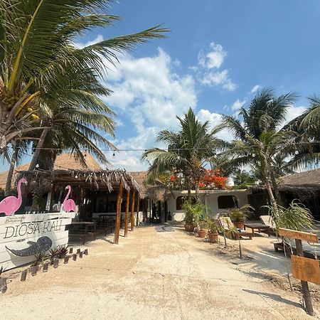 La Diosa Kali Beach Front Hotel Isla Holbox Buitenkant foto
