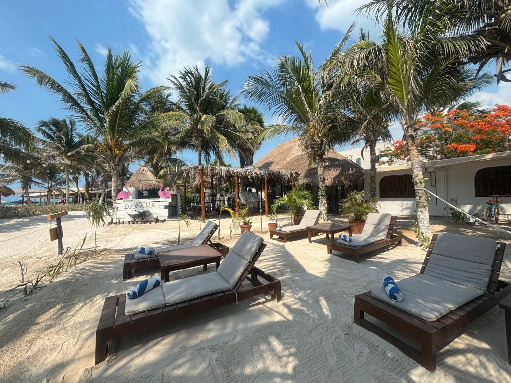 La Diosa Kali Beach Front Hotel Isla Holbox Buitenkant foto