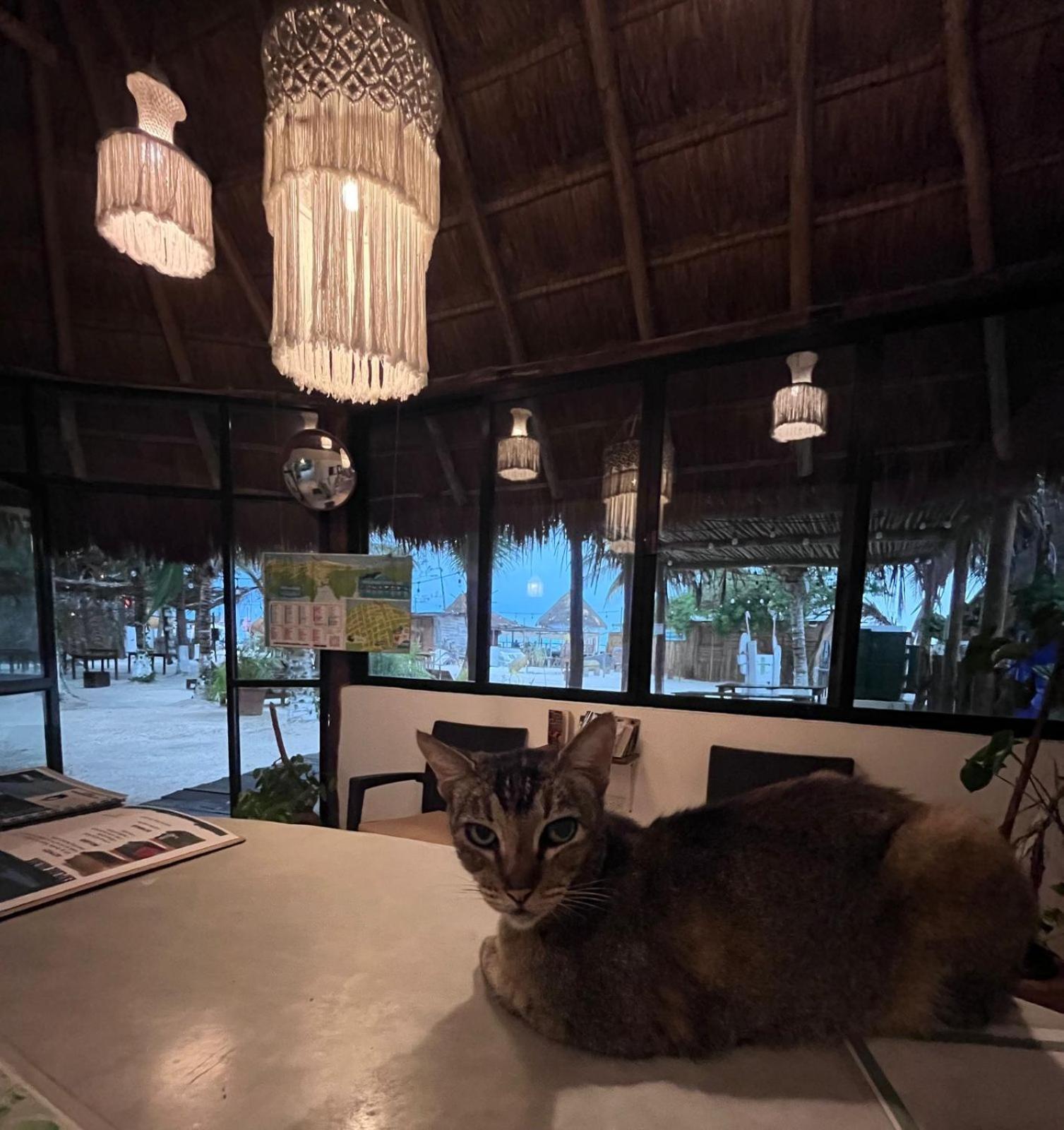 La Diosa Kali Beach Front Hotel Isla Holbox Buitenkant foto
