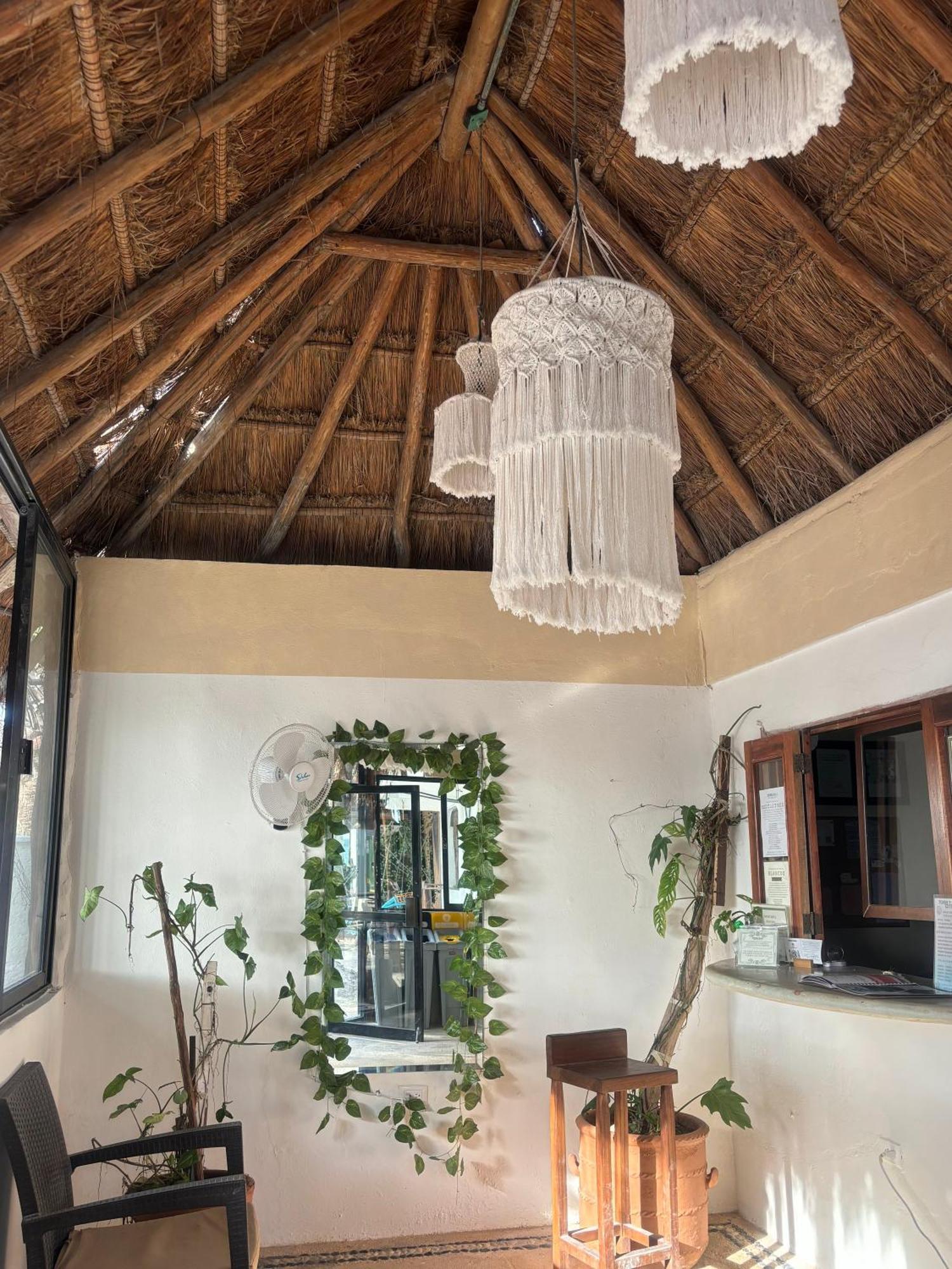 La Diosa Kali Beach Front Hotel Isla Holbox Buitenkant foto